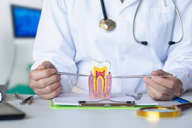 Best Emergency Treatment for Dental Infections or Abscesses in Crane, TX